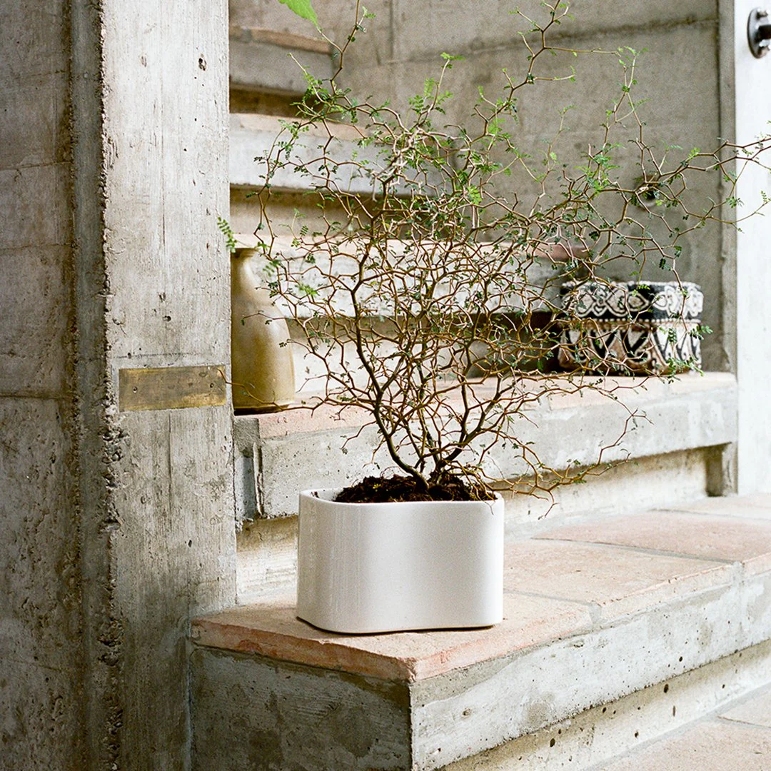 Riihitie Plant Pot - Shape A - Image 20