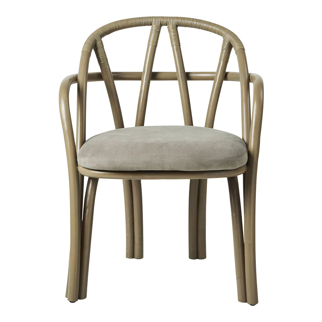 Bistra Dining Armchair - Image 19