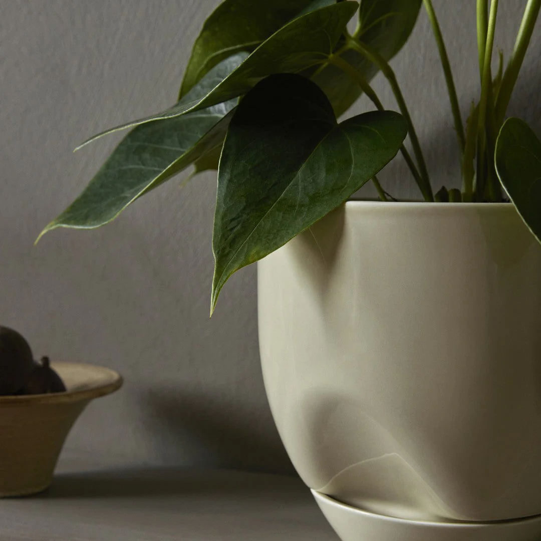 Hydrous Planter - Image 3