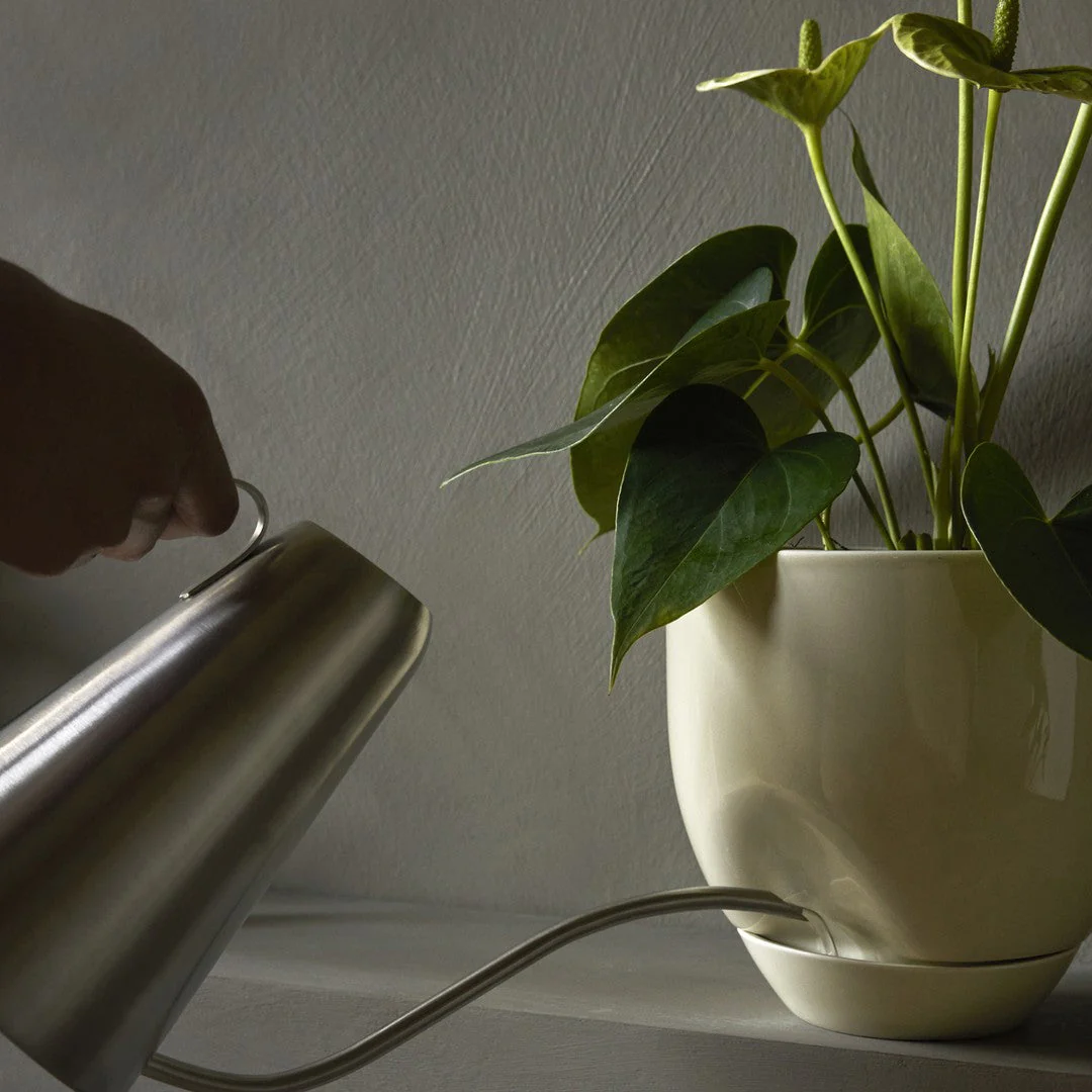 Hydrous Planter - Image 4