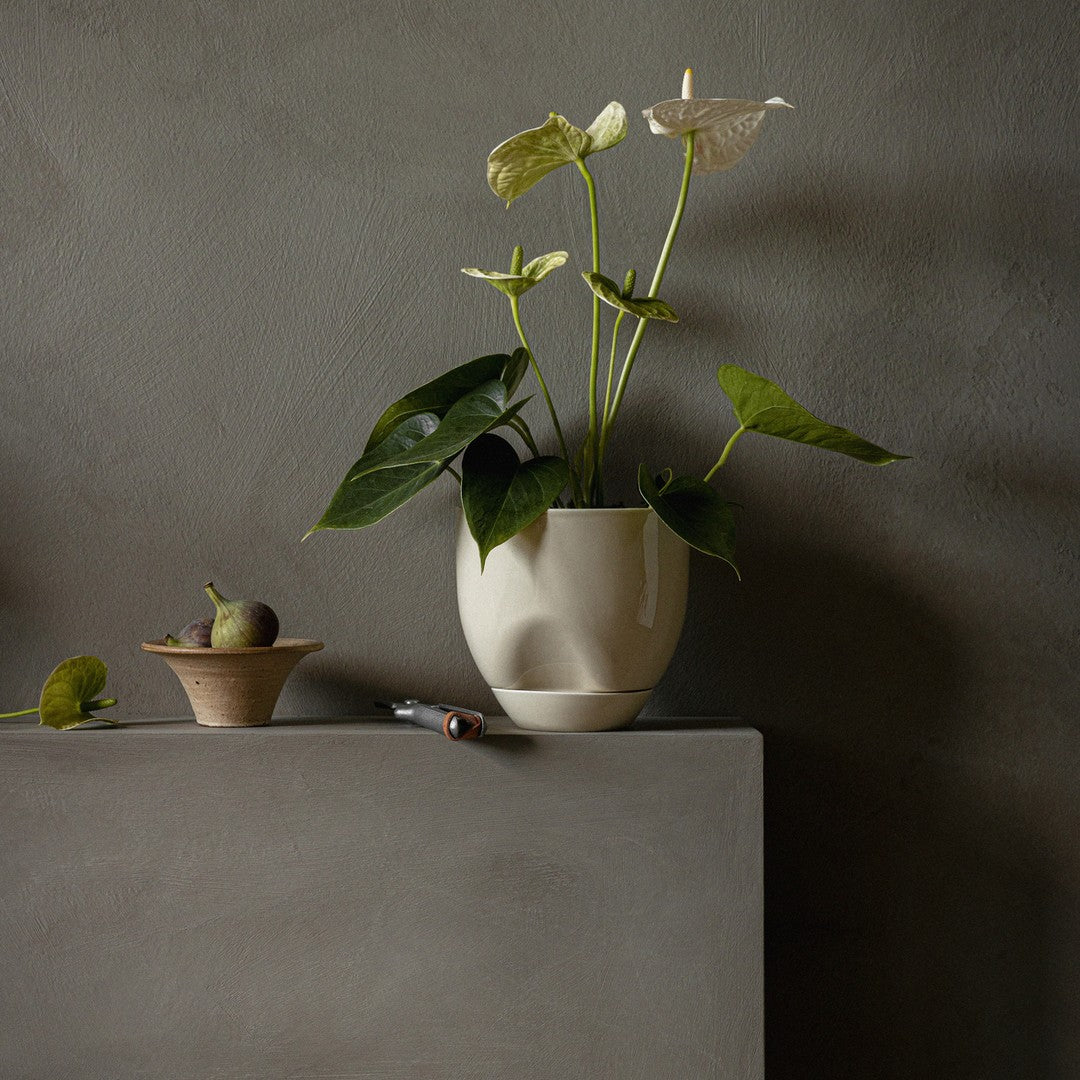 Hydrous Planter - Image 5