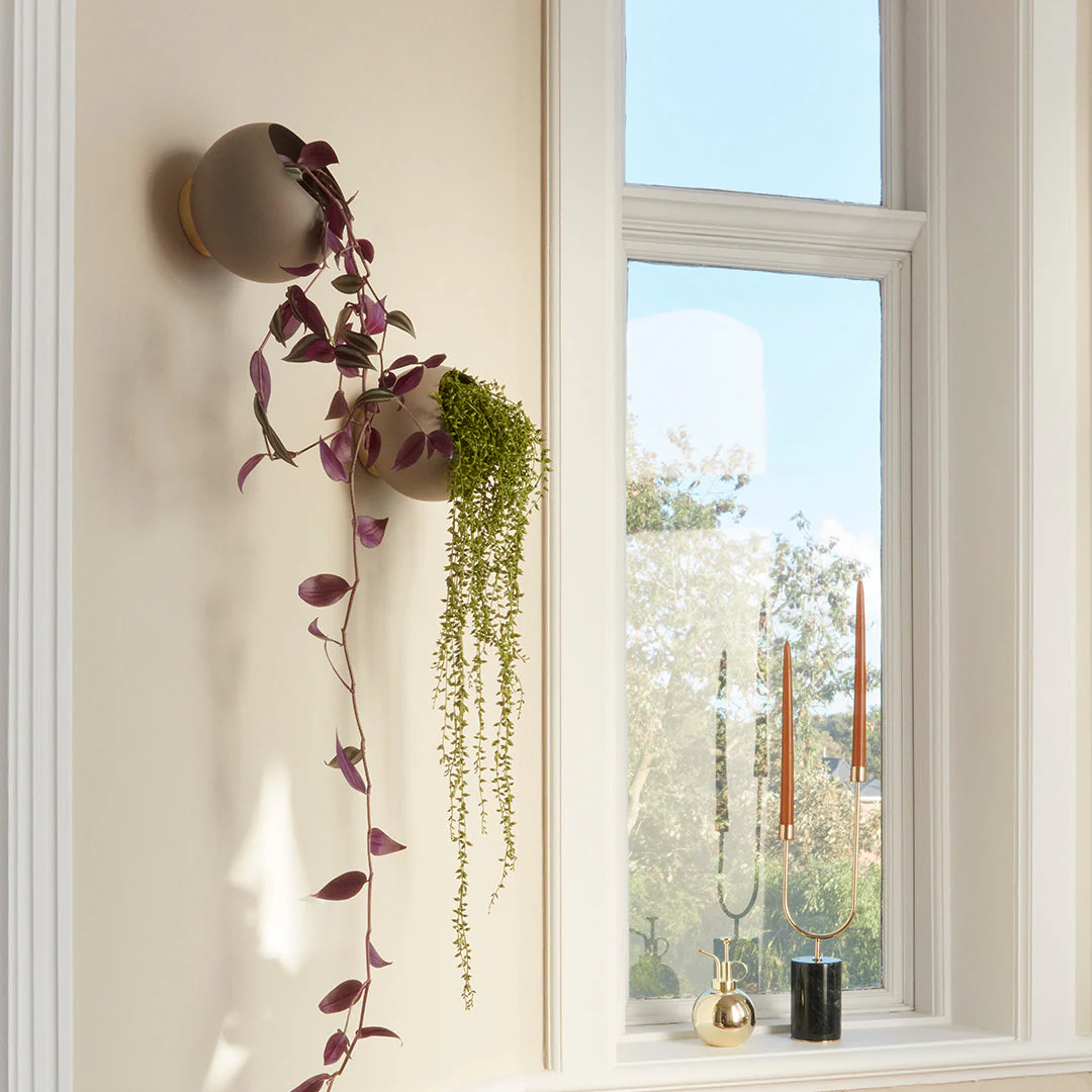 Globe Wall Flowerpot - Small - Image 8