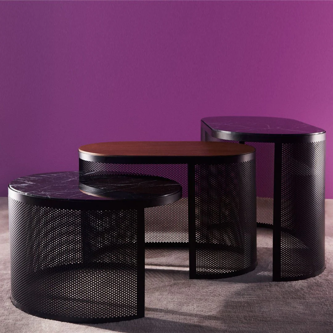 Pausillus Coffee Table - Image 15