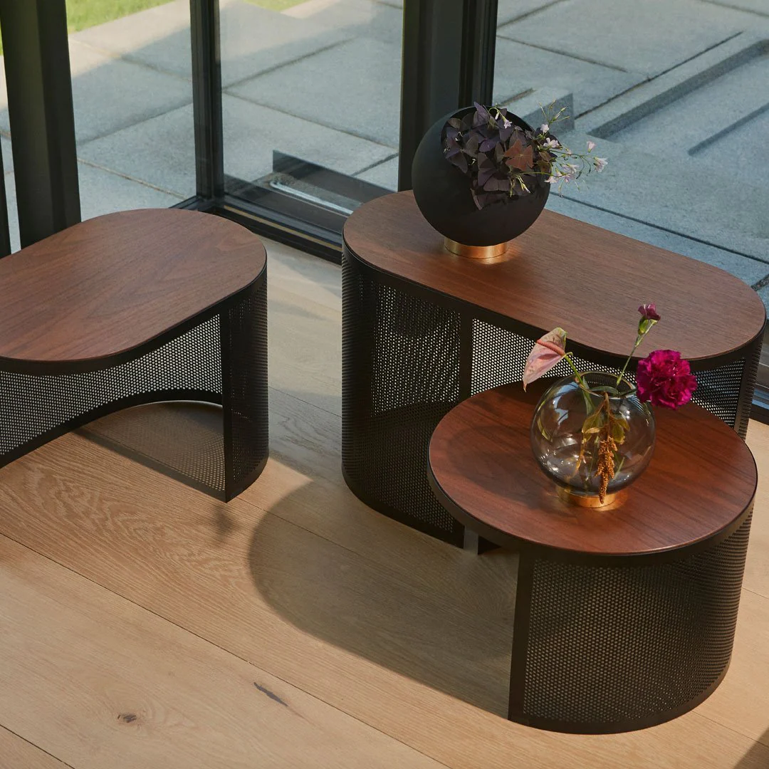 Pausillus Coffee Table - Image 20