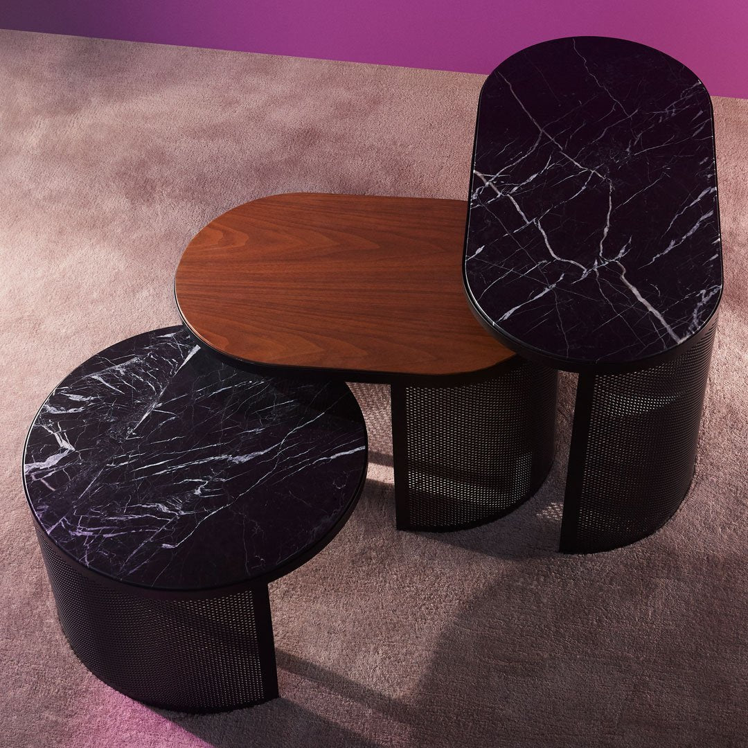 Pausillus Coffee Table - Image 36