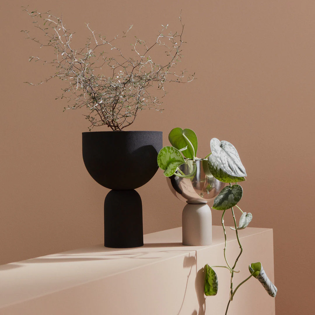 Torus Flowerpot - Small - Image 6