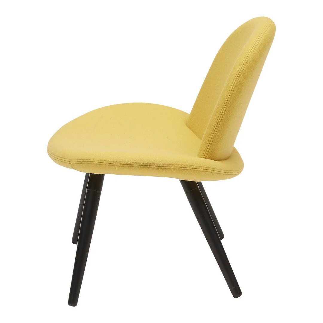 Orlando Chair - Wood - Image 7