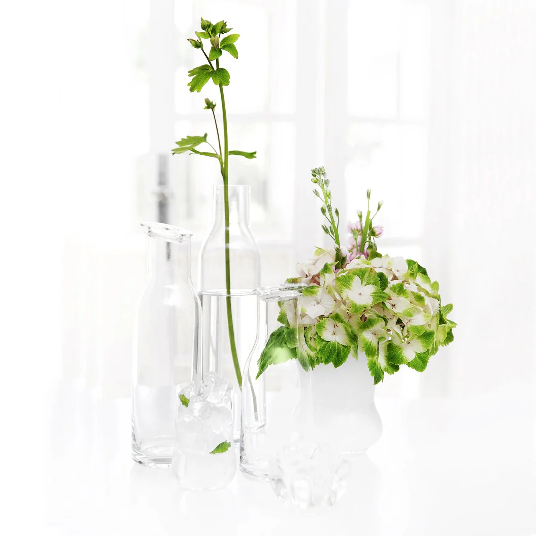 Minima Bottle w/ Lid - Image 3