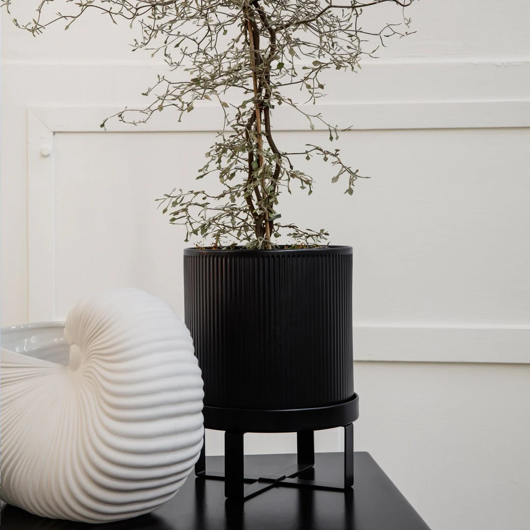 Bau Pot - Image 7