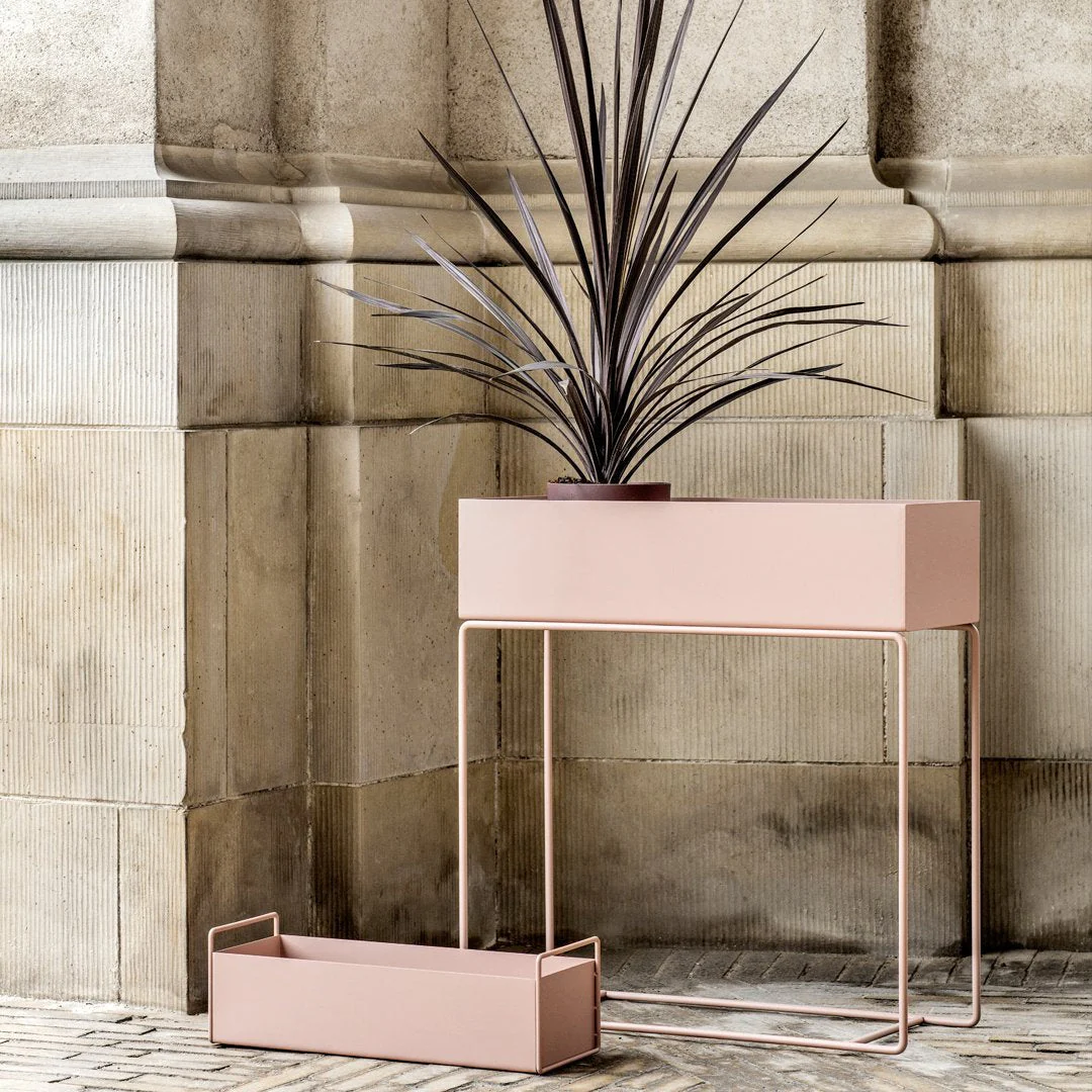 Plant Box - Small - Image 11