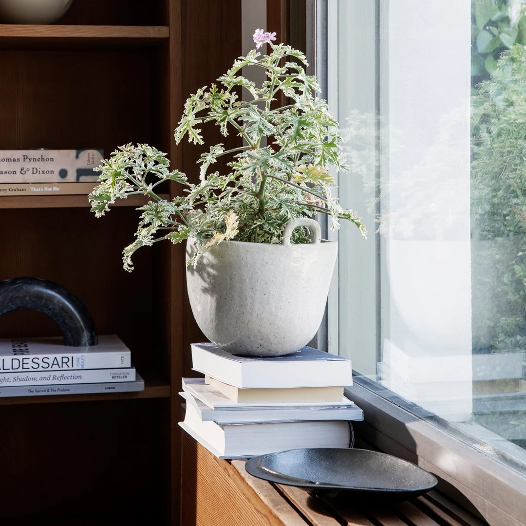 Speckle Pot - Image 4