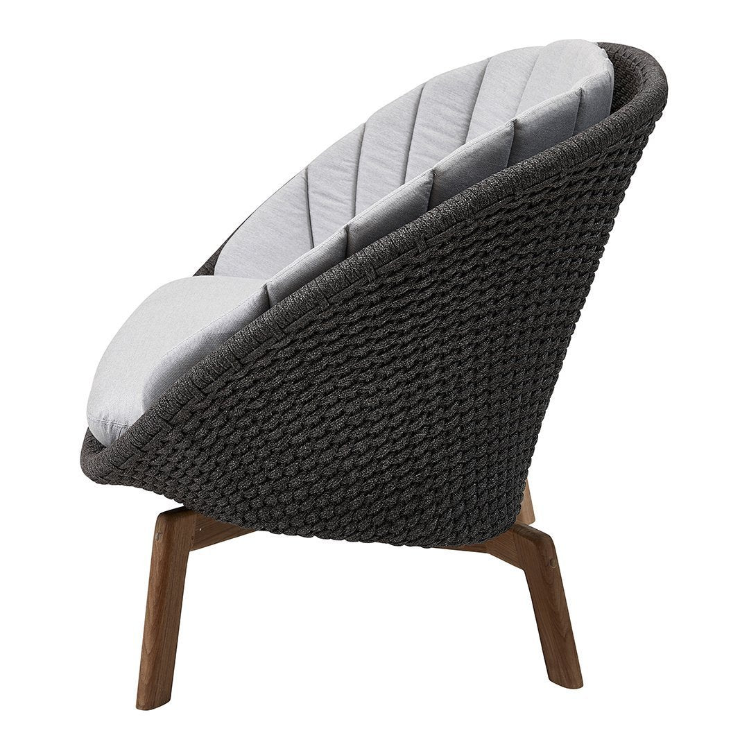 Peacock Wing 2-Seater Sofa - Image 5