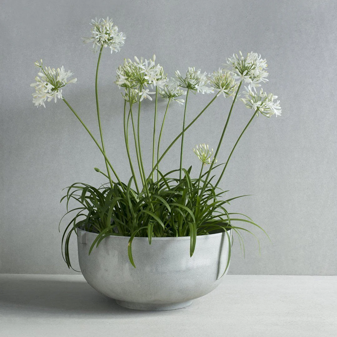 Castle Planter - Image 6
