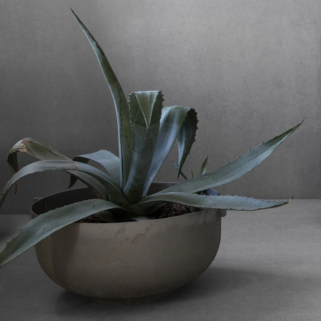 Castle Planter - Image 7