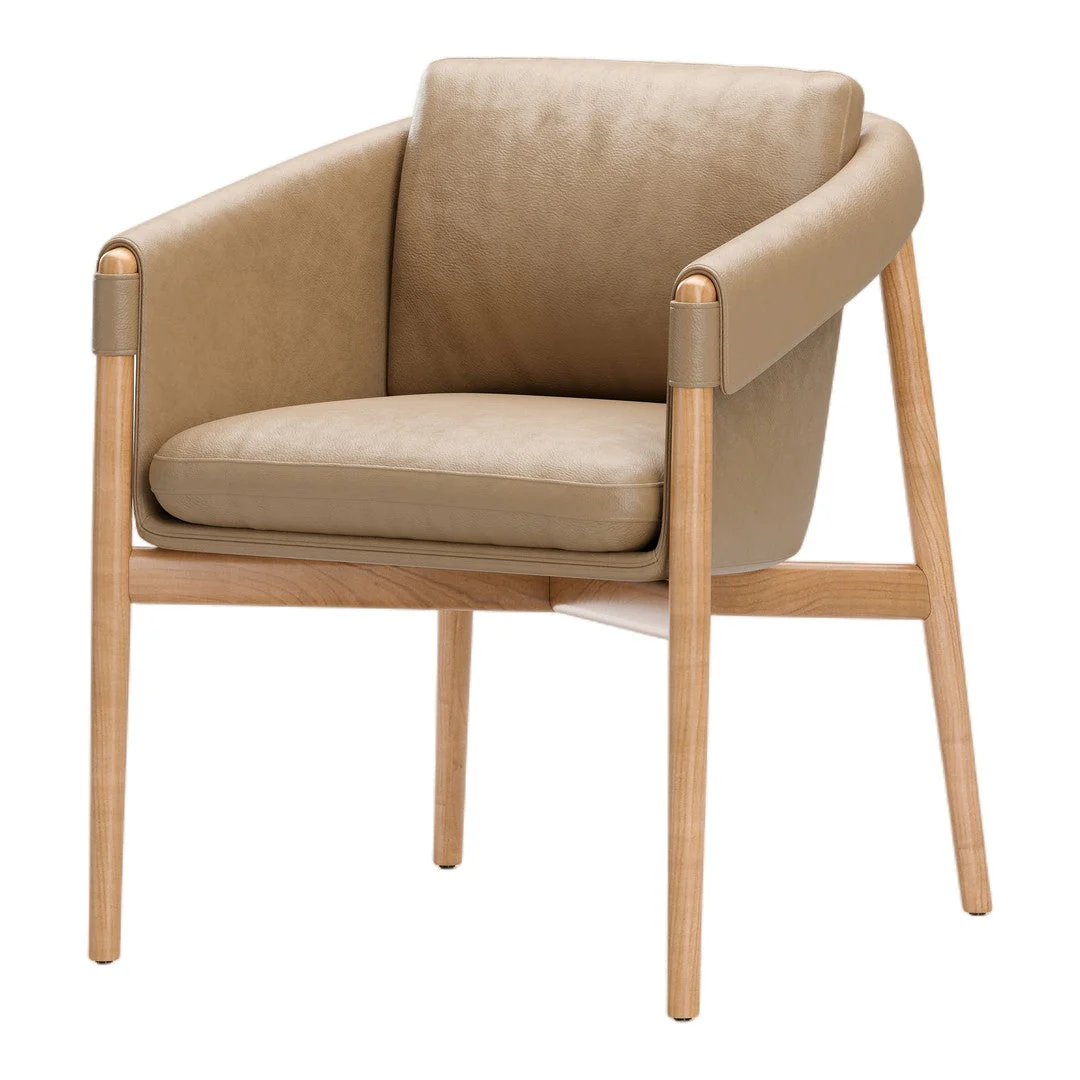 Frank Dining Chair - Image 16