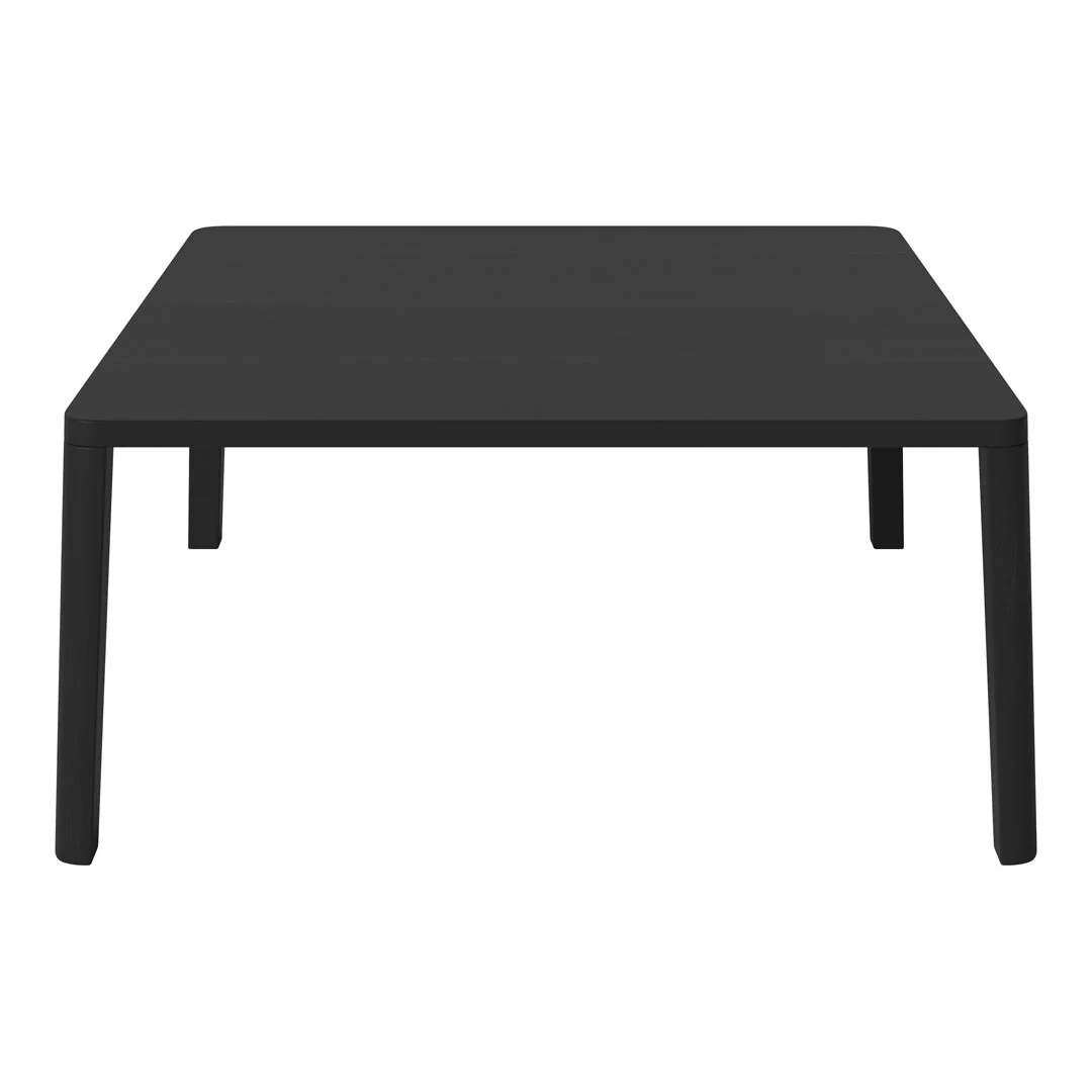 Graceful Coffee Table - Image 22