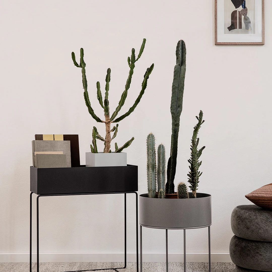 Plant Box - Image 11