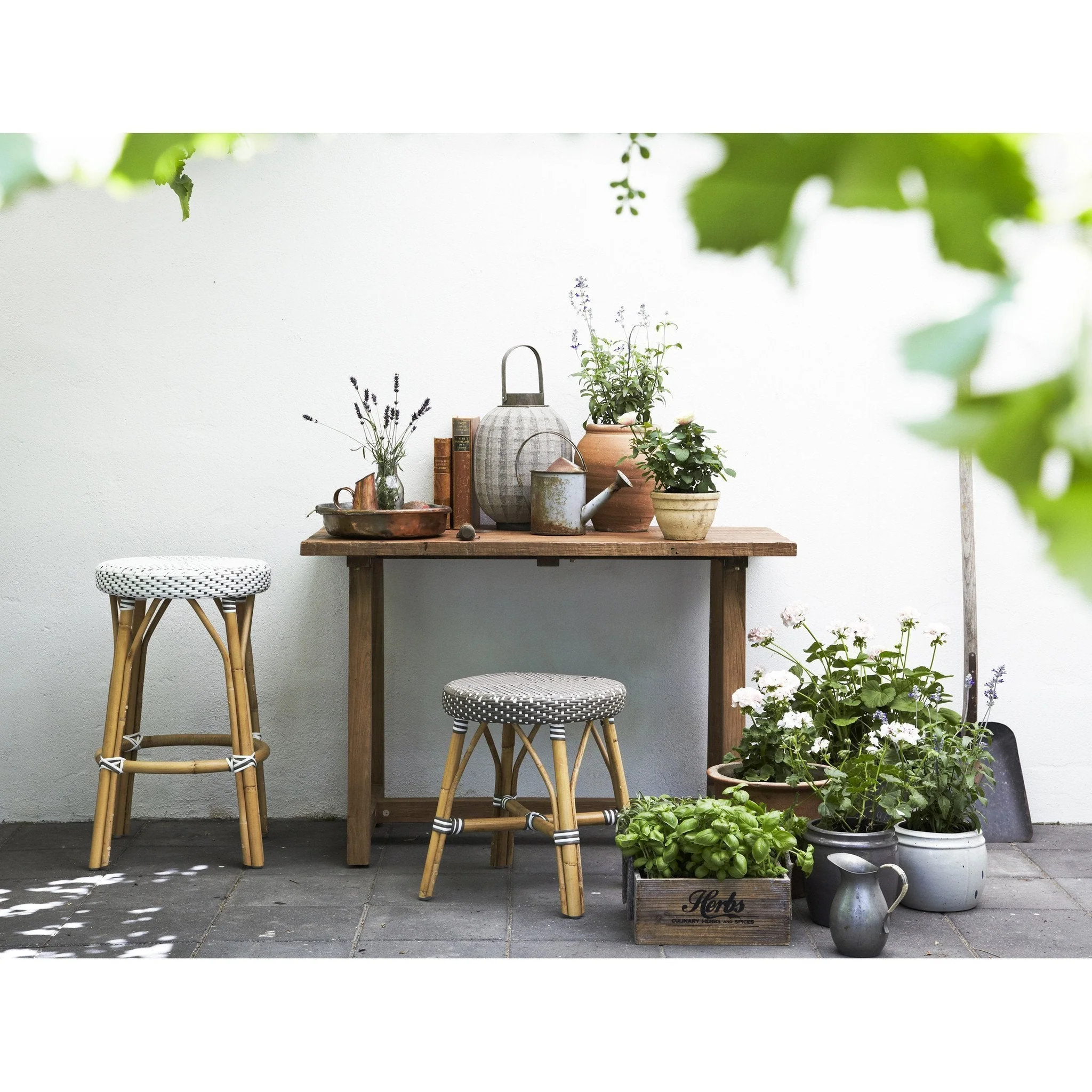 Simone Counter Stool - Stackable - Image 6