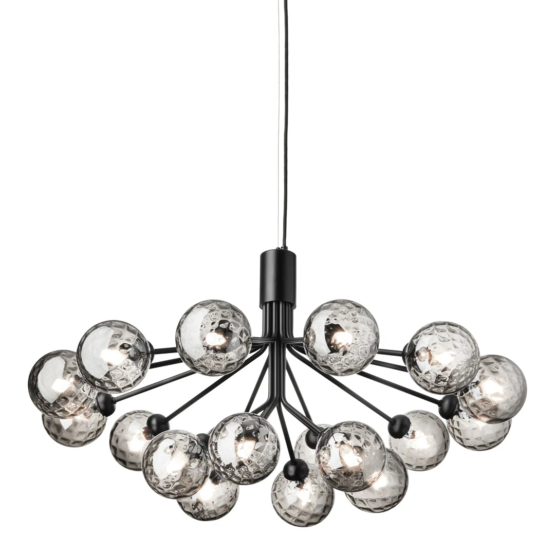 Apiales 18 Chandelier - Image 11