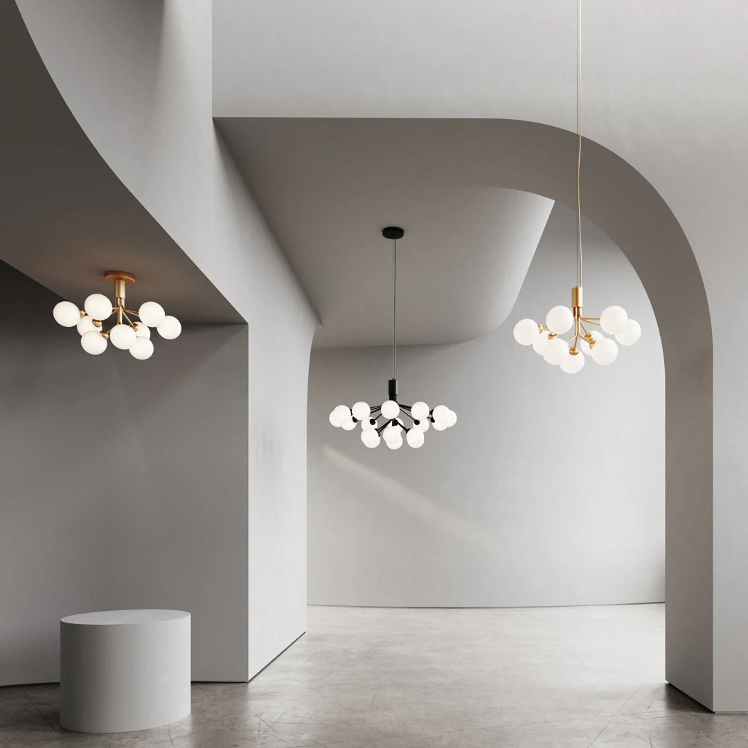 Apiales 18 Chandelier - Image 12