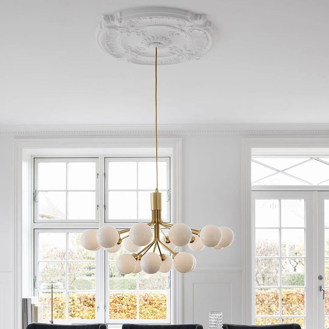 Apiales 18 Chandelier - Image 13
