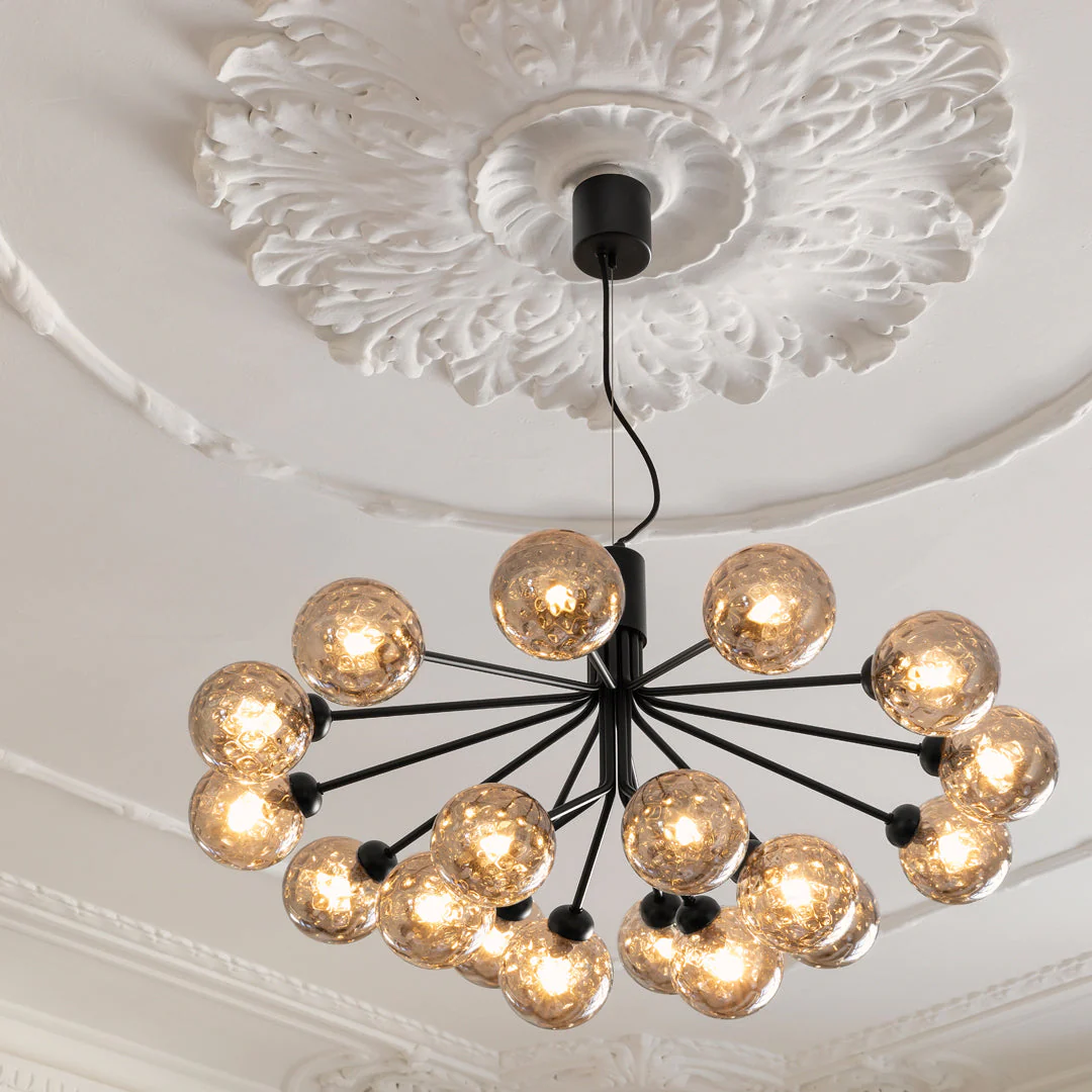 Apiales 18 Chandelier - Image 16