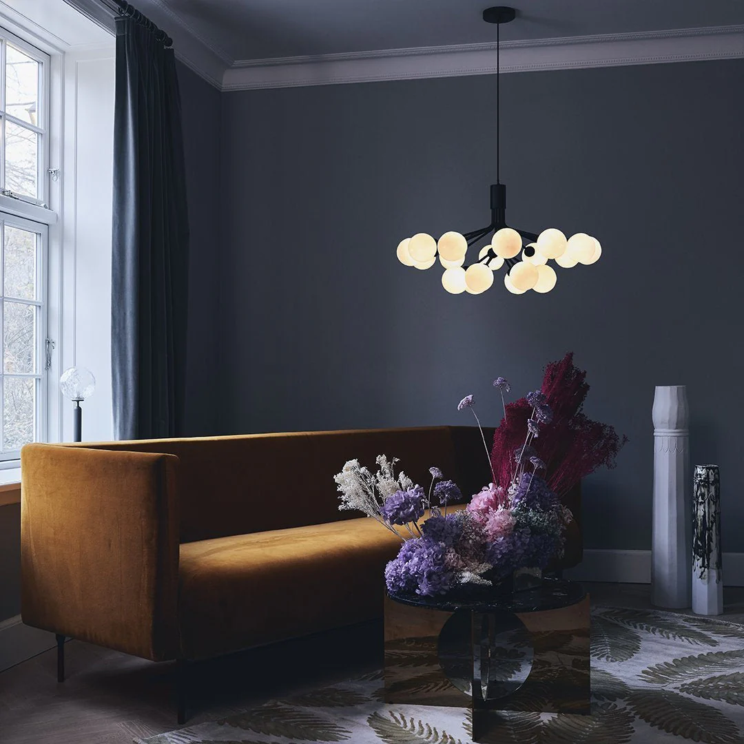 Apiales 18 Chandelier - Image 17