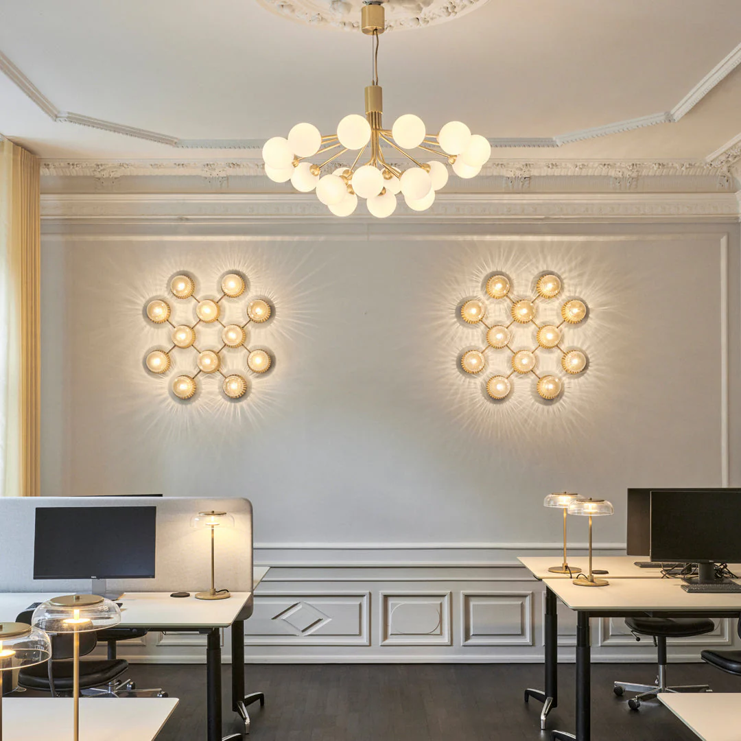 Apiales 18 Chandelier - Image 18