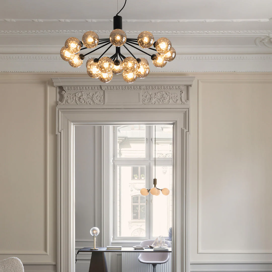Apiales 18 Chandelier - Image 27