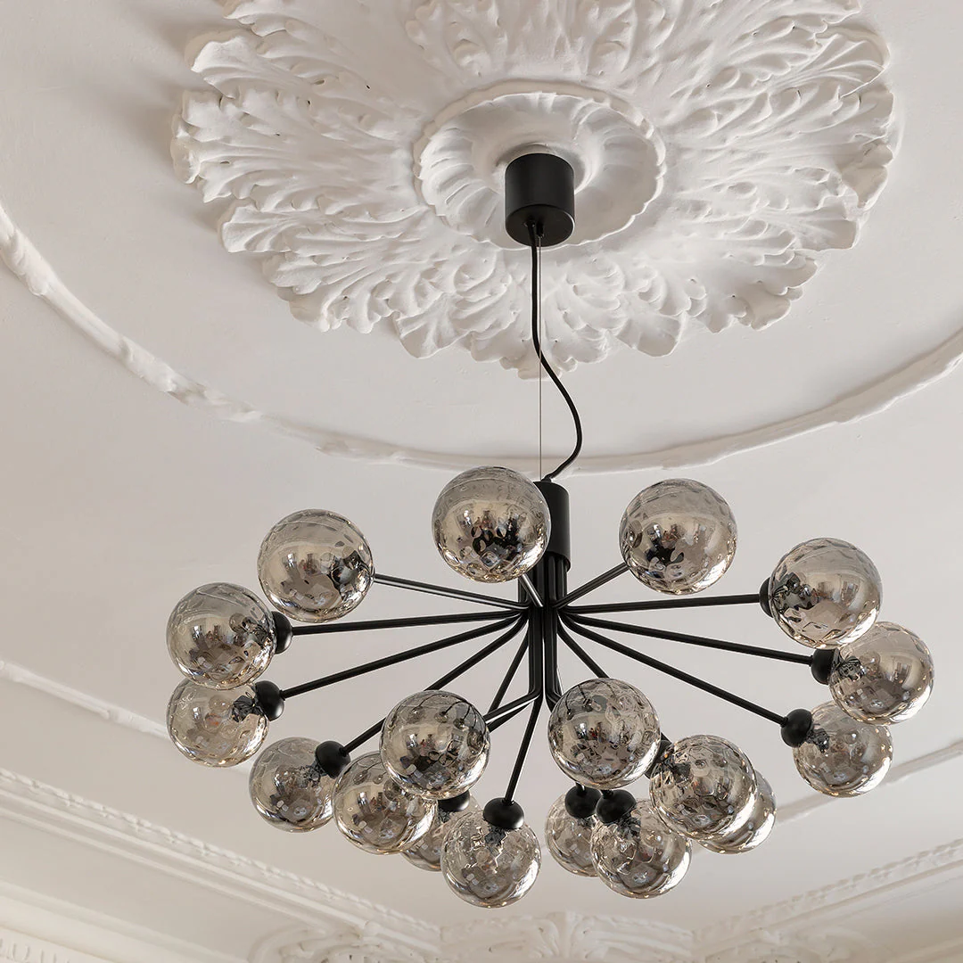 Apiales 18 Chandelier - Image 28