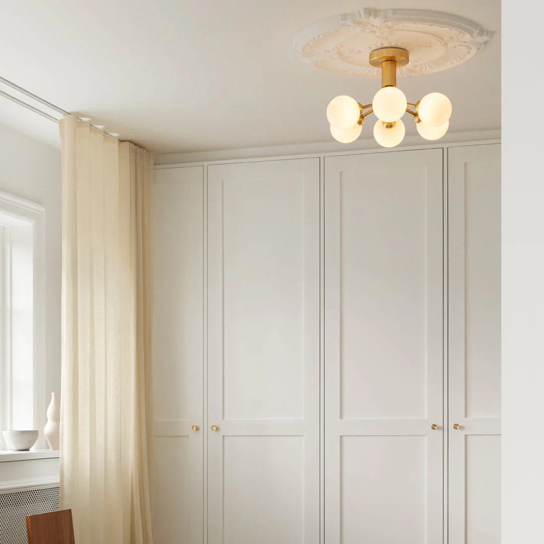 Apiales 6 Ceiling Fixture - Image 15