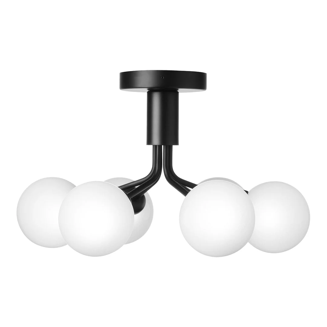 Apiales 6 Ceiling Fixture - Image 8