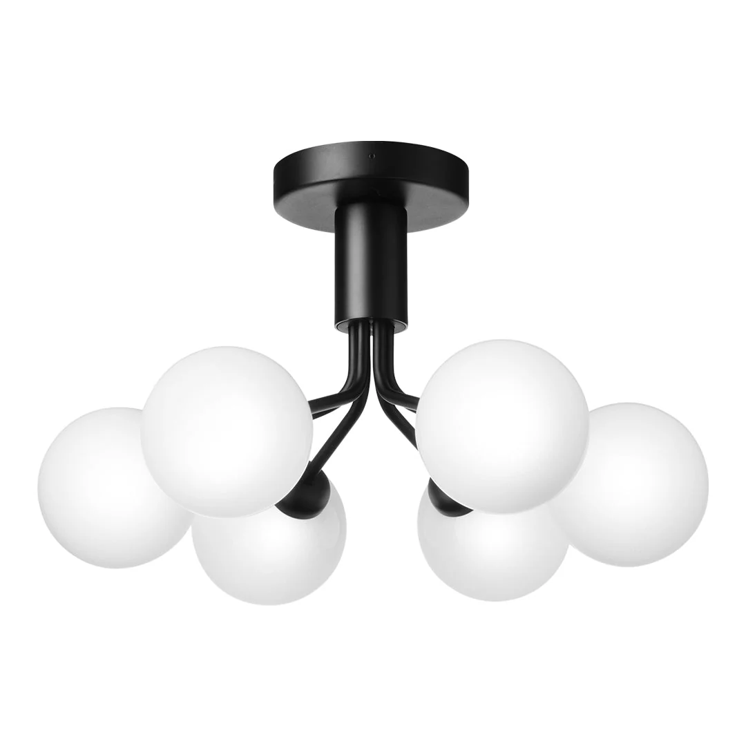 Apiales 6 Ceiling Fixture - Image 9