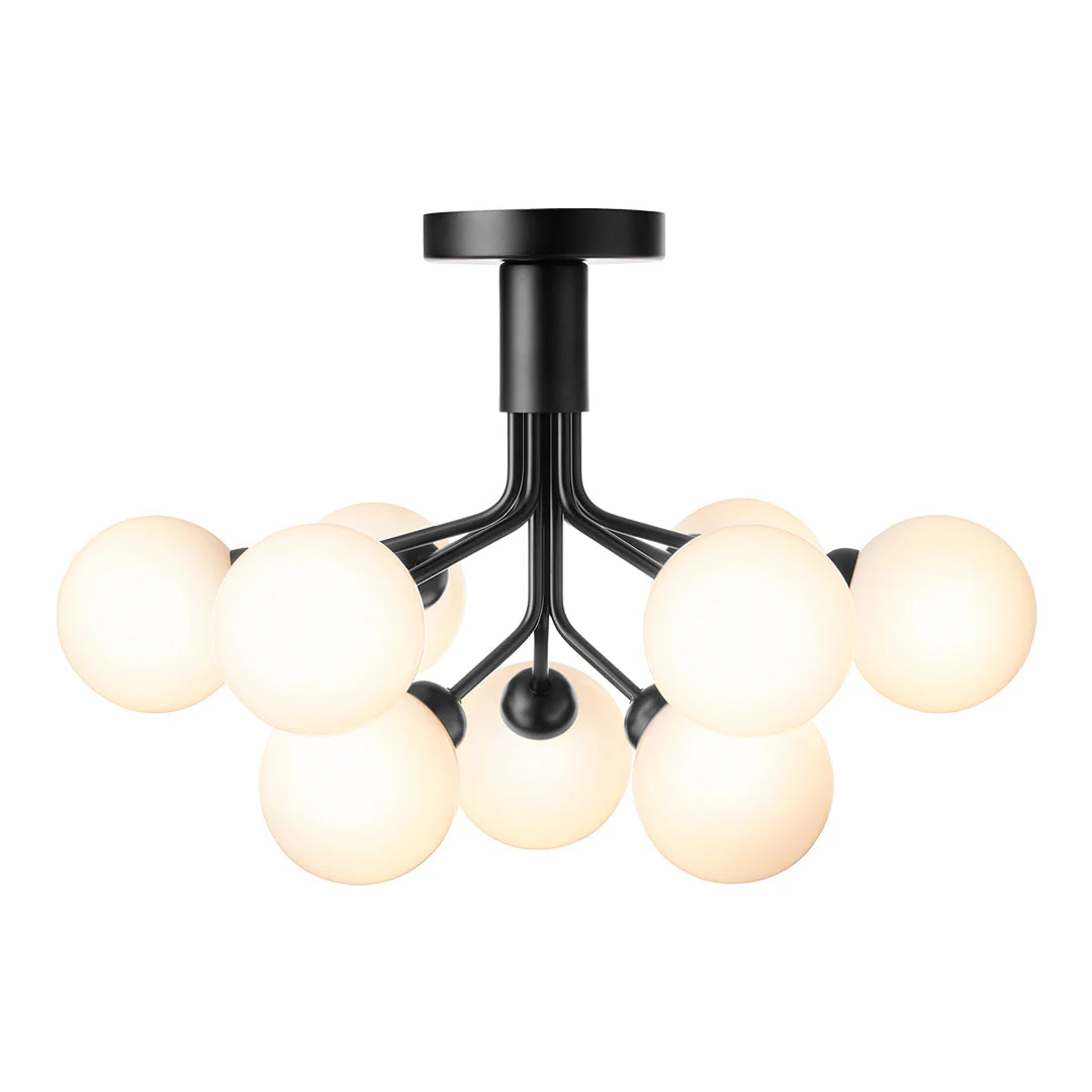 Apiales 9 Ceiling Fixture - Image 4