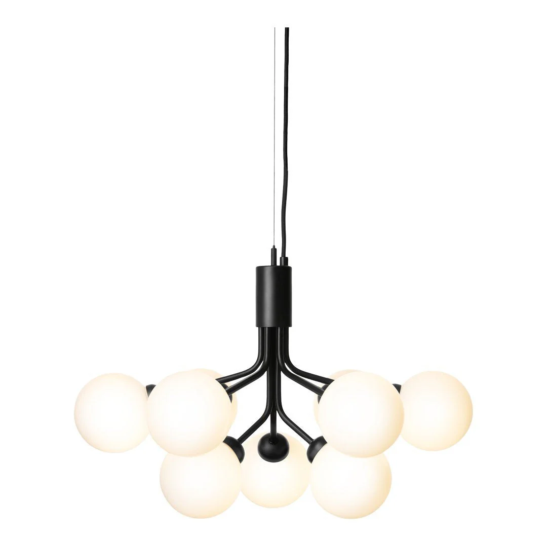 Apiales 9 Chandelier - Image 12