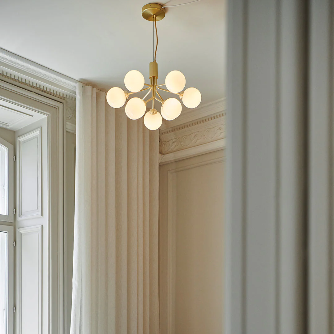 Apiales 9 Chandelier - Image 31