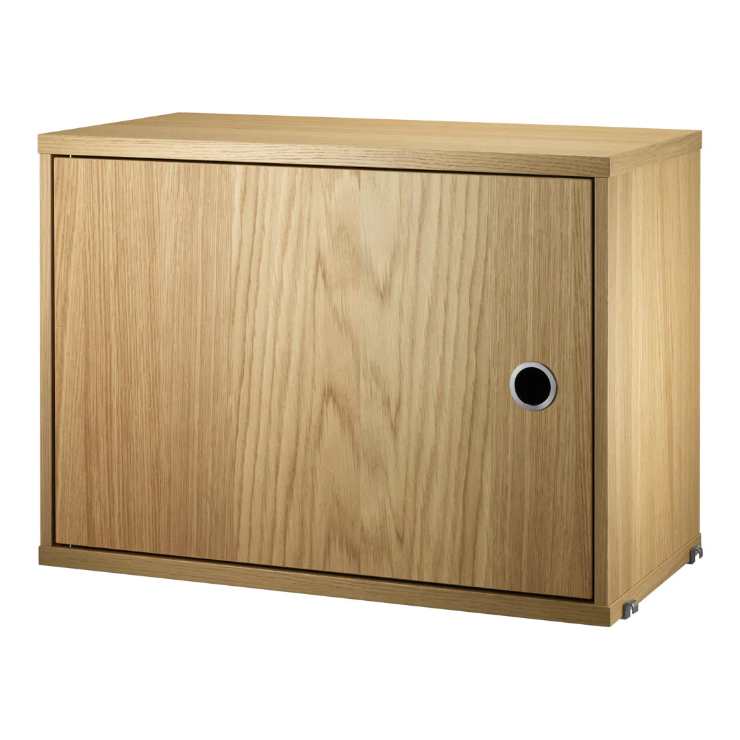 Cabinet with Swing Door - Image 3